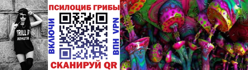 Галлюциногенные грибы Psilocybine cubensis  где найти наркотики  Электрогорск 