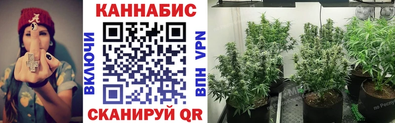 Канабис OG Kush  Электрогорск 